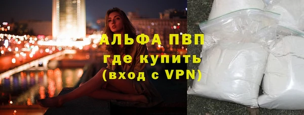 PSILOCYBIN Вязьма