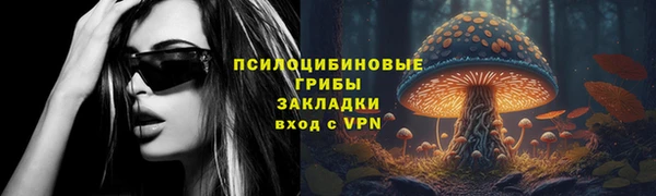 PSILOCYBIN Вязьма