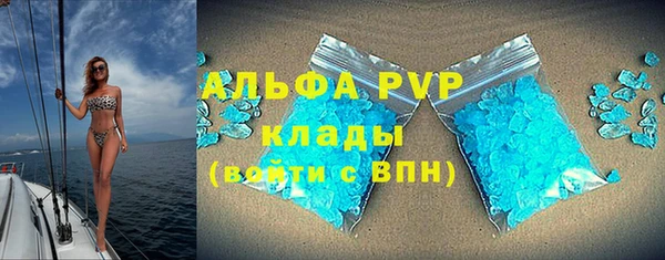 PSILOCYBIN Вязьма
