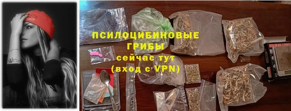 PSILOCYBIN Вязьма